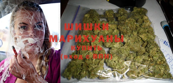 шишки Аркадак