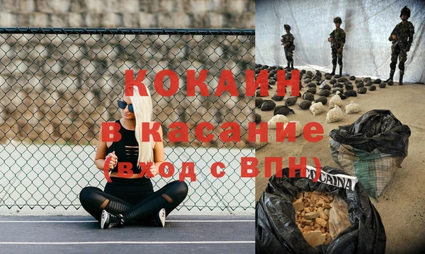 шишки Аркадак