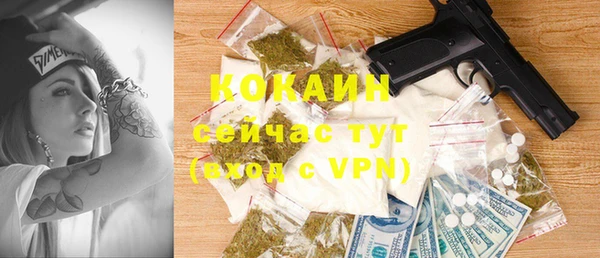 шишки Аркадак