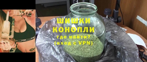 шишки Аркадак