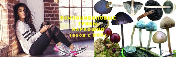 шишки Аркадак