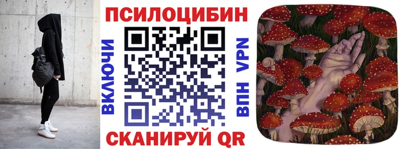 Купить закладки  Покровск  Галлюциногенные грибы MAGIC MUSHROOMS 